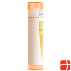 Boiron Stramonium Gran C 15 4g