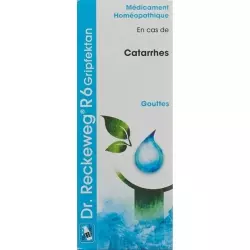 Reckeweg R6 Gripfektan Tropfen Flasche 50ml