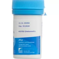 Omida Schüssler Nr. 8 Natrium Chloratum Tabletten D6 20g