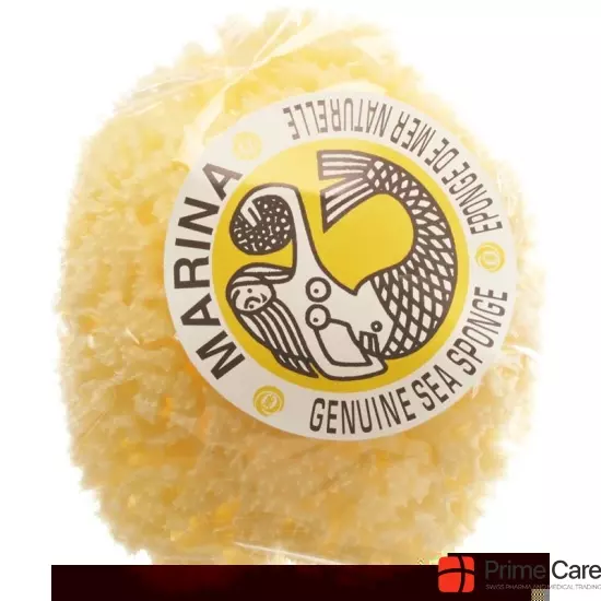 Marina natural sponge Venise 12cm buy online