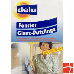 Delu Fensterglanz Putzlinge