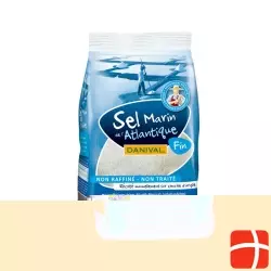 Danival Atlantisches Meersalz Fein 500g