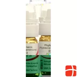 Omida Phytolacca Globuli D 12 Dosierhilfe 4g