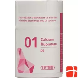 Phytomed Schüssler Nr. 1 Calc Fluor Tabletten D 6 100g