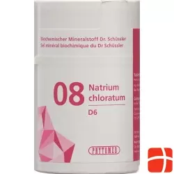 Phytomed Schüssler Nr. 8 Natr Chlor Tabletten D 6 100g