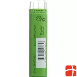 Sn Rhus Toxicodendron Granulat Ch 9 4g