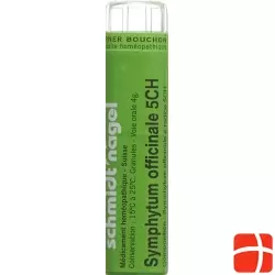 Sn Symphytum Officinale Granulat Ch 5 4g