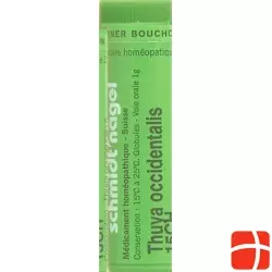 Sn Thuya Occidentalis Globuli Ch 15 1g