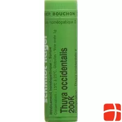 Sn Thuya Occidentalis Globuli 200 K 1g