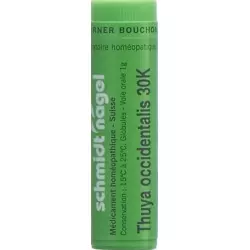 Sn Thuya Occidentalis Globuli 30 K 1g