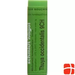 Sn Thuya Occidentalis Globuli Ch 9 1g