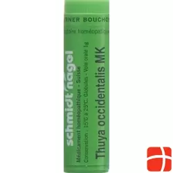 Sn Thuya Occidentalis Globuli Mk 1g