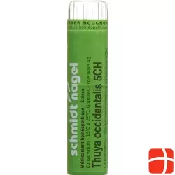 Sn Thuya Occidentalis Granulat Ch 5 4g