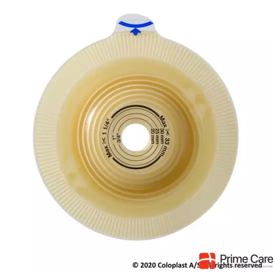 Assura Basisplatte Konvex Light 18/40mm 4 Stück buy online