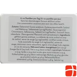 Phytopharma Salvia Pastillen 40 Stück
