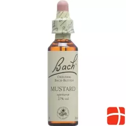 Bachblüten Mustard Nr. 21 Flüssig 20ml