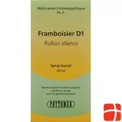 Phytomed Gemmo Himbeere Liquid D 1 30ml