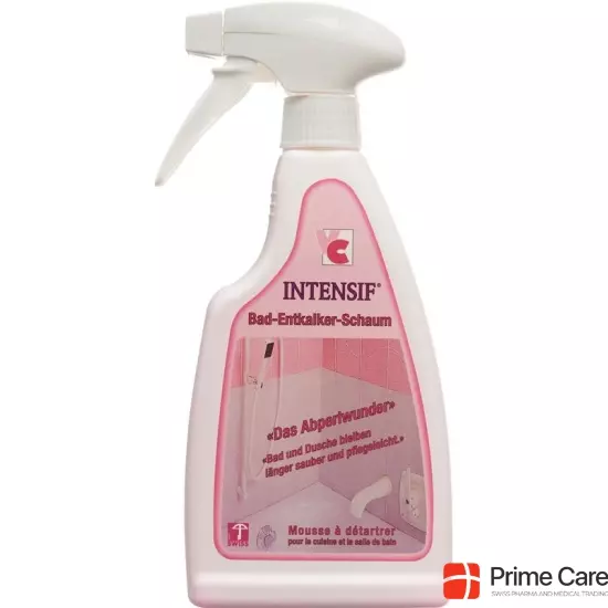 Intensif Bad Entkalker Schaum Liquid 500g buy online