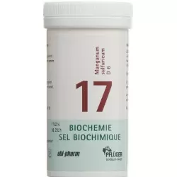 Pflueger Schüssler Nr. 17 Mang Sulf Tabletten D 6 100g