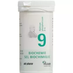Pflueger Schüssler Nr. 9 Natr Phos Tabletten D 6 100g