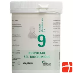 Pflueger Schüssler Nr. 9 Natr Phos Tabletten D 6 250g