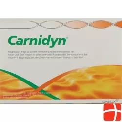 Carnidyn Beutel Pulver 20x 5g