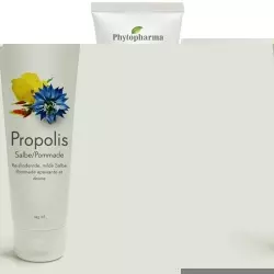 Phytopharma Propolis Salbe Tube 125ml