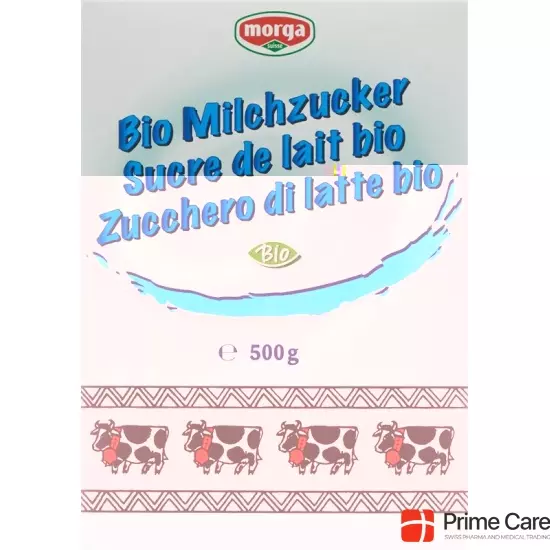 Morga Milchzucker Bio 500g buy online