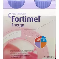 Fortimel Energy Erdbeer 4x 200ml