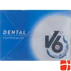 V6 Peppermint Kaugummi 1 Stück