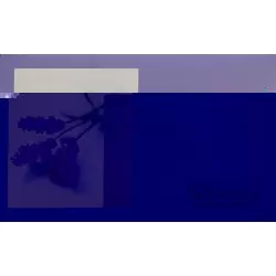 Sidroga Lavender tea bag 20 pieces