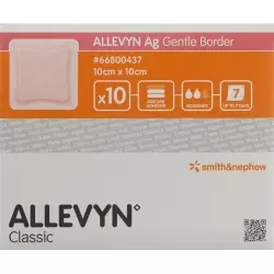 Allevyn Ag Gentle Border Wundverband 10x10cm 10 Stück