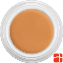 Dermacolor Camouflage Creme Dfd Spiegel Dose 15ml
