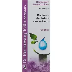 Reckeweg R35 Chadontin Tropfen Flasche 50ml