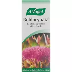 A. Vogel Boldocynara Tropfen 50ml