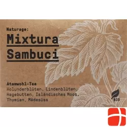 Naturage Atemwohl Tee Bio 20 Beutel 1.2g