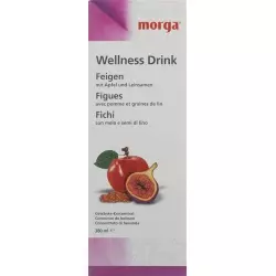 Morga Wellness Drink Feigen 380ml