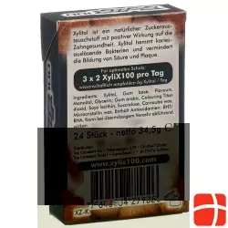 Xylix100 Boxendisplay Kaugummi Kokos 10x24 Stk
