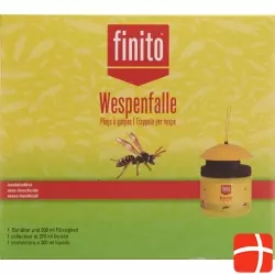 Finito wasp trap