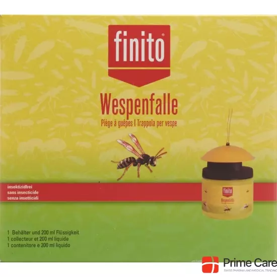 Finito wasp trap buy online