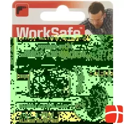 Alpine Worksafe earplugs 1 pair