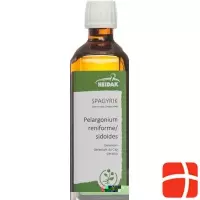 HEIDAK Spagyrik Pelargonium reniforme / sidoides Fl 250 ml