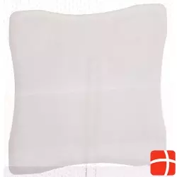 Allevyn Gentle Border Lite Wundverband 15x15cm 10 Stück