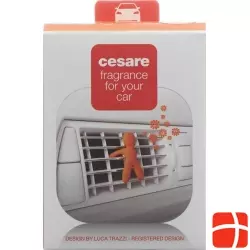Joy Duftmaennchen Auto Cesare Orange Energy