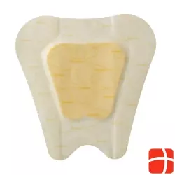 Biatain Adhesive Sacral 17x17cm 5 Stück