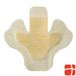 Biatain Adhesive Heel 19x20cm 5 Stück