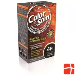 Color & Soin Coloration 4B brownie Chesnut 135 ml