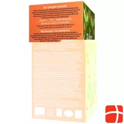 Pukka The Vert Matcha Ginseng The Bio Beutel 20 Stück