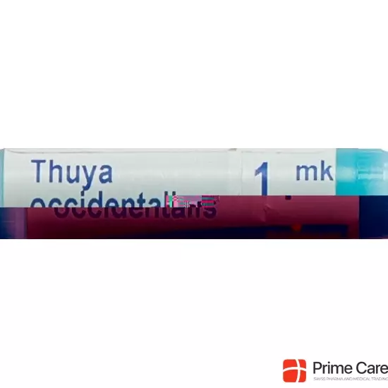 Boiron Thuya Occidentalis Globuli Mk 1 Dos buy online