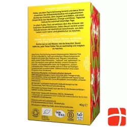 Pukka Revital Tee Bio Beutel 20 Stück